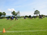 Tn Bild (74)